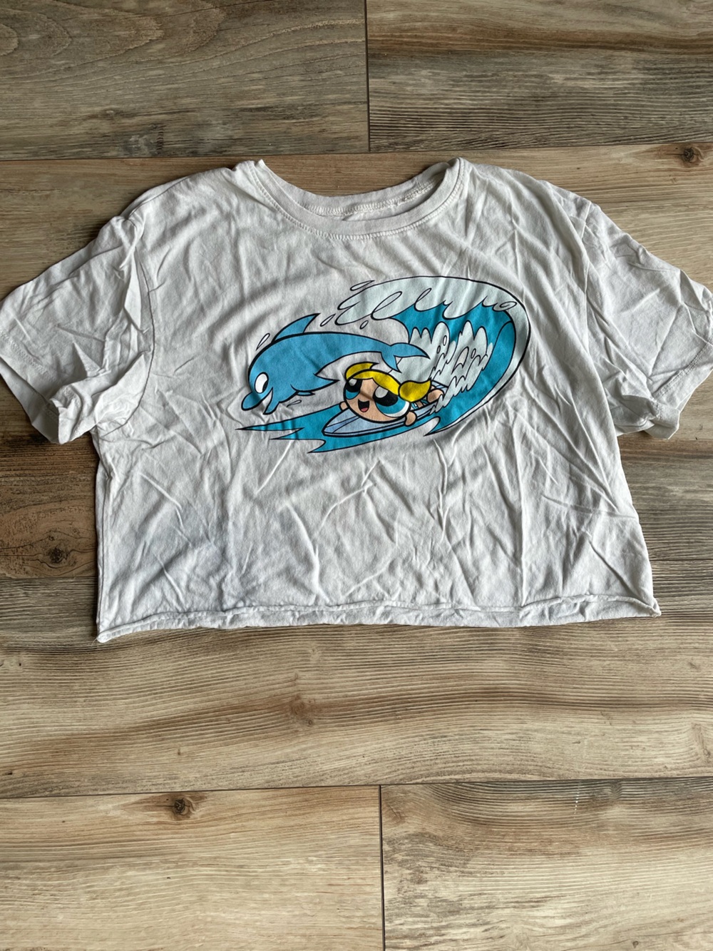 Power puff girls crop top